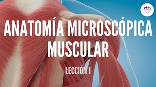 1 ANATOMÍA MICROSCÓPICA MUSCULAR FISIOLOGÍA MUSCULAR [upl. by Clite]