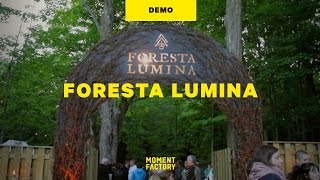 Foresta Lumina  An Enchanted Night Walk From Park to Illuminated Forest [upl. by Ajnat]