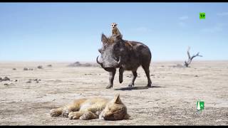 El Rey León 2019  Escena Le llamaremos Fred   HD [upl. by Casey]