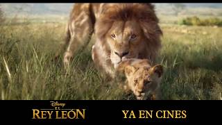 El Rey León 2019  Nº1 en cines  HD [upl. by Broderic947]