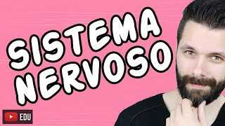 SISTEMA NERVOSO  FISIOLOGIA  Aula  Biologia com Samuel Cunha [upl. by Leroj552]