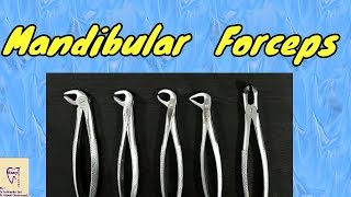 Mandibular Forceps  Identification and uses  Lower extraction forceps [upl. by Natelson220]