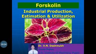 Forskolin Industrial Production Estimation and Utilization [upl. by Anikat4]