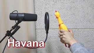 Camila Cabello  Havana Chicken Cover [upl. by Glori]