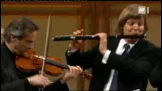 Bach Brandenburg 5 1movement Abbado [upl. by Isyad]