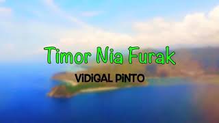 Vidigal Pinto Timor Nia Furak [upl. by Ramaj432]