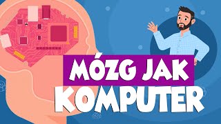 Jak działa mózg [upl. by Mosier]