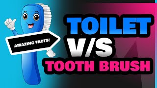 Toilet and Tooth Brush [upl. by Jacquelin455]