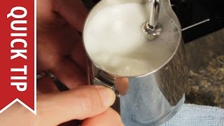 How to AutoFroth Milk for Lattes [upl. by Cassilda535]