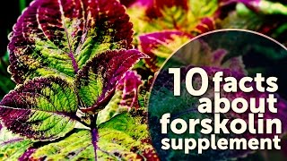 10 Facts About Forskolin Supplement [upl. by Notnef187]