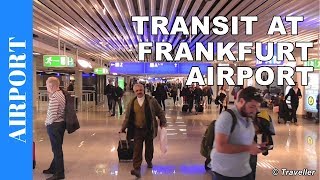 TRANSIT WALK AT FRANKFURT Airport FRA Terminal 1  Connection Flight Transfer Arriving amp Departing [upl. by Eerazed260]